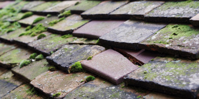 Shaw Cum Donnington roof repair costs